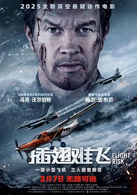 插翅难飞2025海报